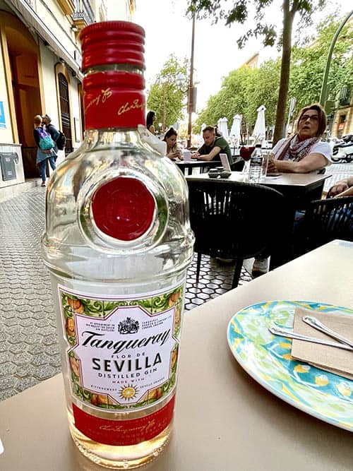 Andalusia Blends the Past with the Present 10 Seville is famed for its oranges and this gin give you a bit of that citrus flavor for a new twist on gin. Photo by Terri Colby