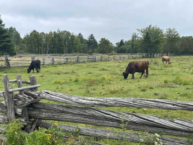 New Brunswick