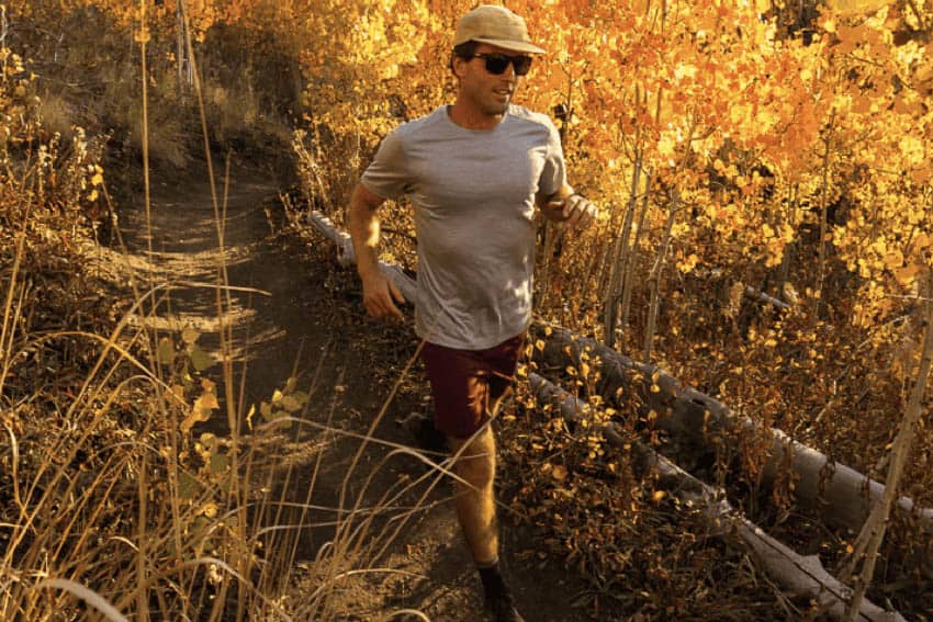 Ibex Merino clothing