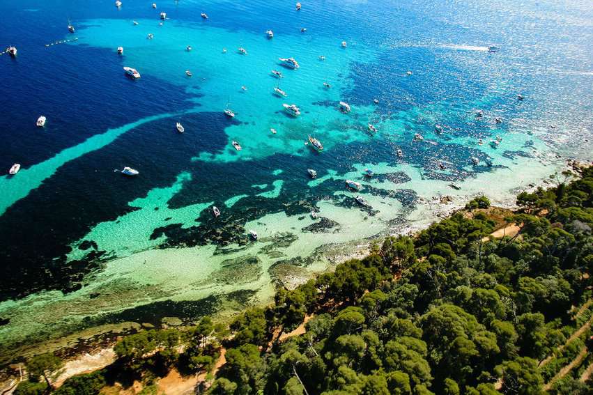 The Etang du Batelier on Saint Marguerite attracts many bird species