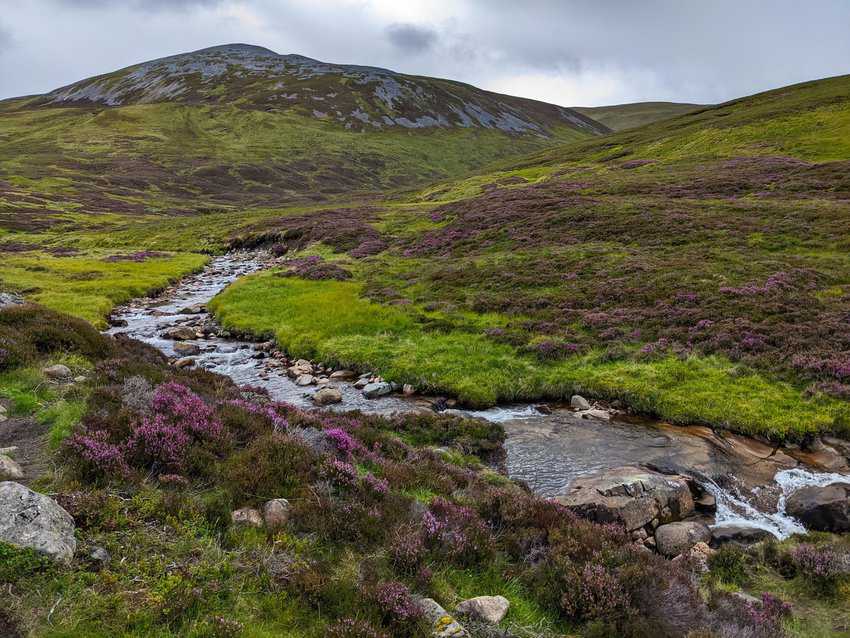 Navigating the Scottish Highlands by Car 1 A peek at one of the beautiful Cairngorm Mountains in the Scottish Highlands. Kaelie Piscitello Photos