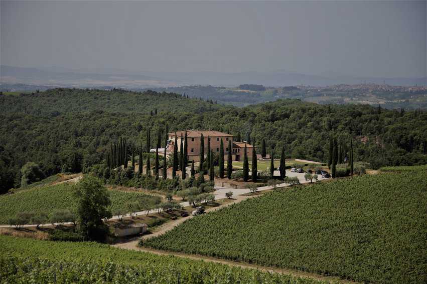 The great expanse of the Tolaini Estate.