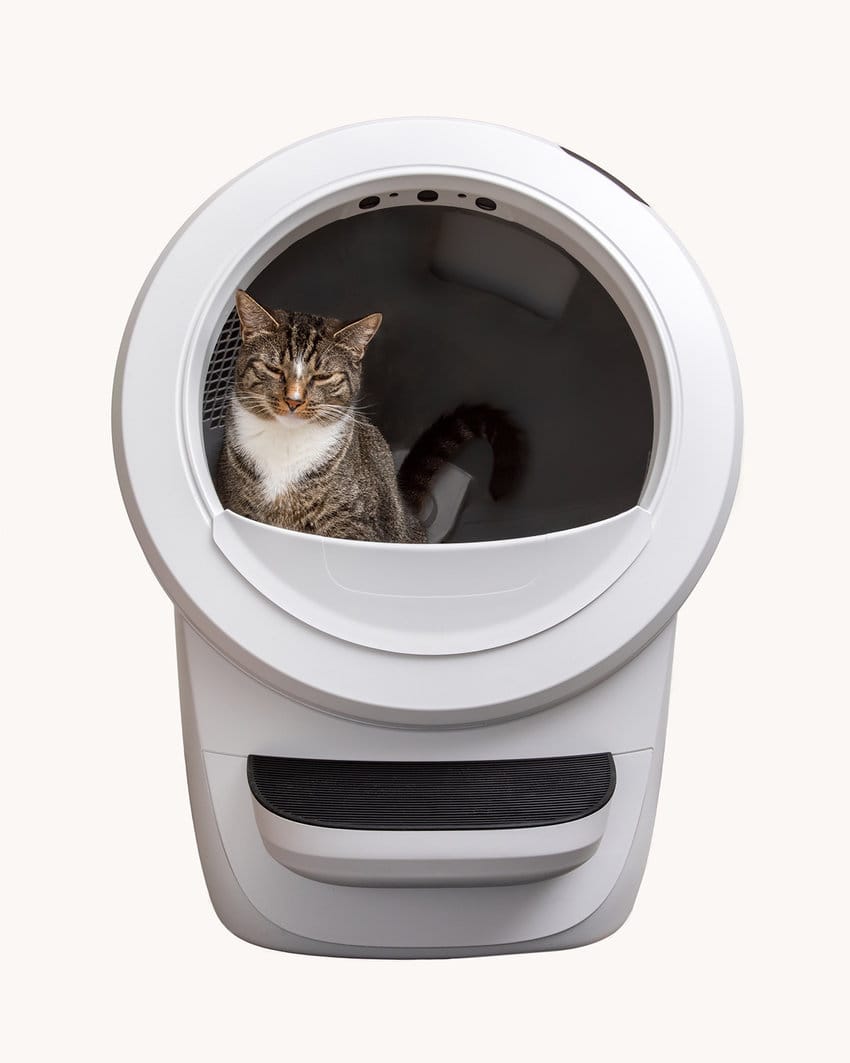 litter robot 4