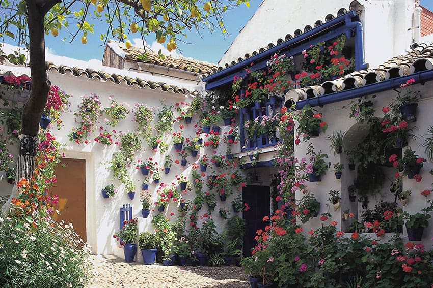 Andalusia Blends the Past with the Present 6 Cordoba patio flowers. Photo courtesy of Turespana