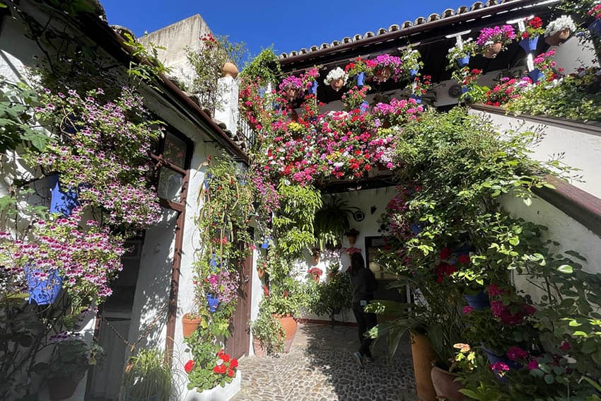 Andalusia Blends the Past with the Present 5 Cordoba's courtyards are decorated with plants, flowers, artwork and fountains. Photo by Terri Colby