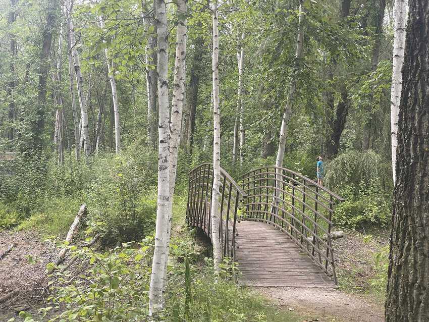 Barkhausen Waterfowl Preserve. Photo credit: Jill Robbins.
