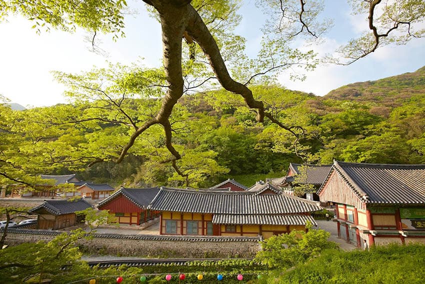 Zen and Temple Stays in South Korea 6 The beautiful Daeheungsa temple (Photo by Cultural Corps of Korean Buddhism)