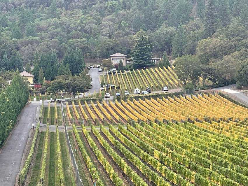 Medford, Oregon: The Heart of the Rogue 9 Dancin Vineyards has an elegant restaurant with delicious flatbread pizzas accompanying their wine flights.