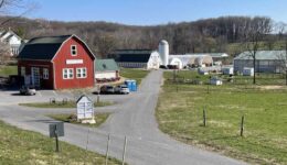 Mary's Land Farm is a great place for their special events and farm market.
