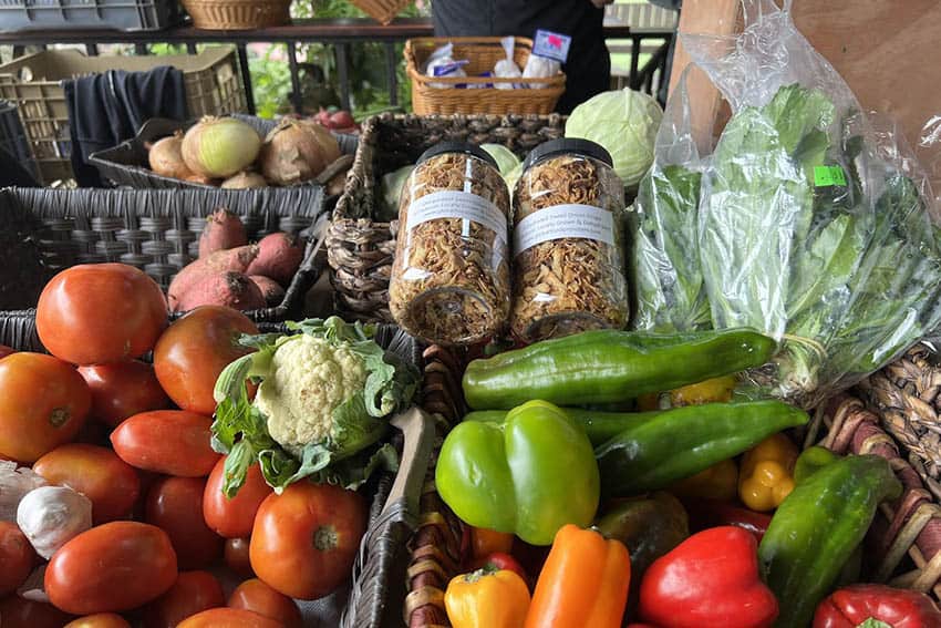 Tuesday Market veggies