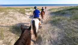 outer-banks-horseback