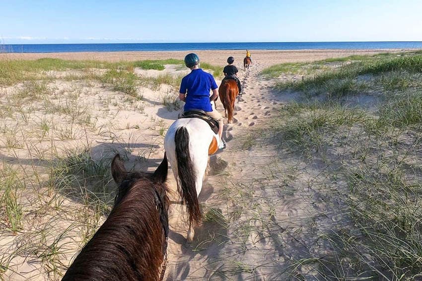 outer banks horseback