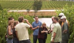 Australian Wine Tours in the Yarra Valley.