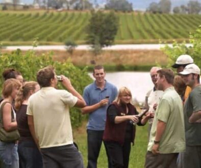 Australian Wine Tours in the Yarra Valley.
