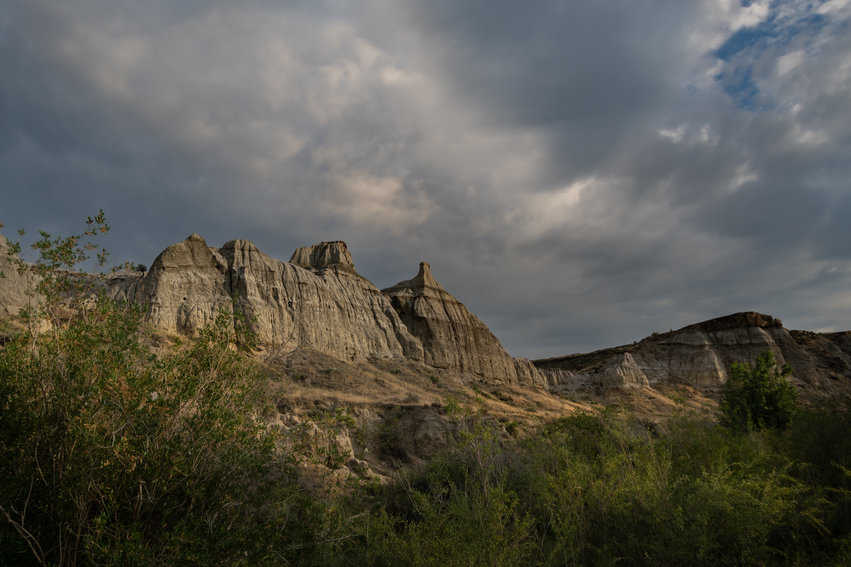 Dinosaur Provincial Park: Paleontologist's Playground 1 dinosaur park