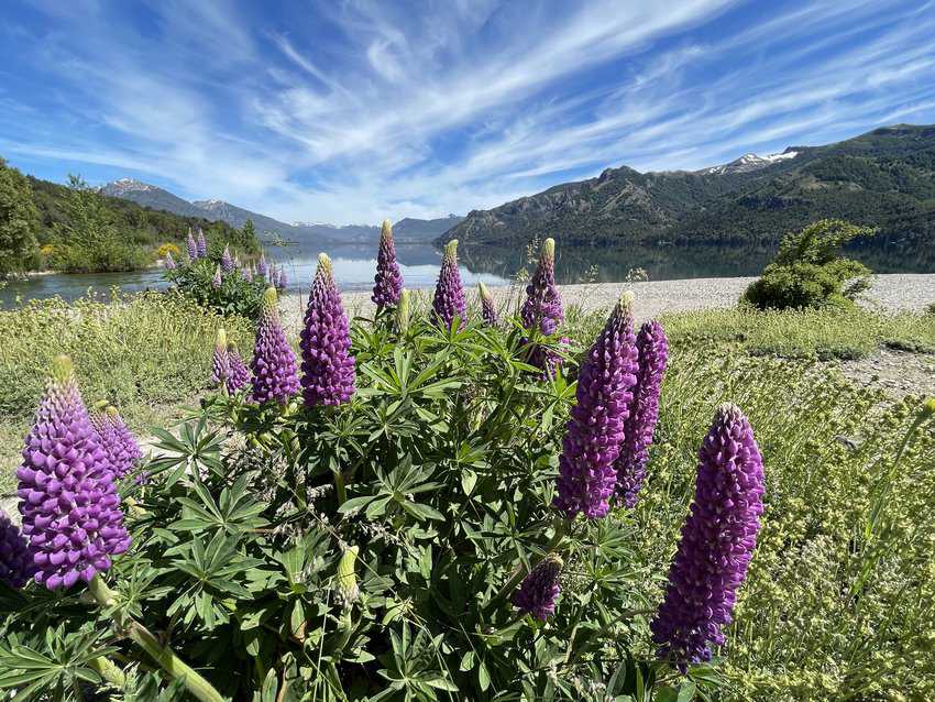 Ruta de Siete,patagonia,Argentina