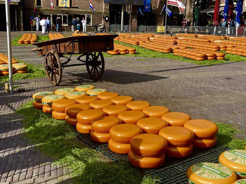 Alkmaar, cheese
