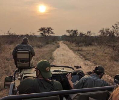 On the Evening Game Drive Near Sunset photo by Michael Kompanik
