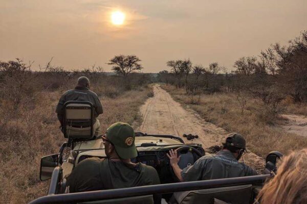 On the Evening Game Drive Near Sunset photo by Michael Kompanik