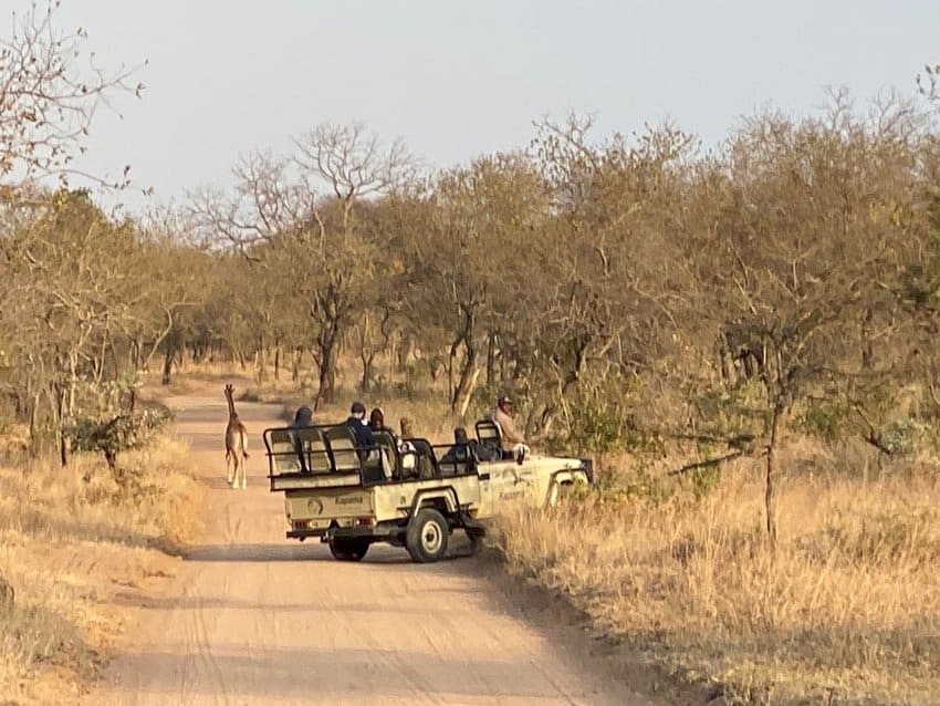 Kapama River Lodge,safari