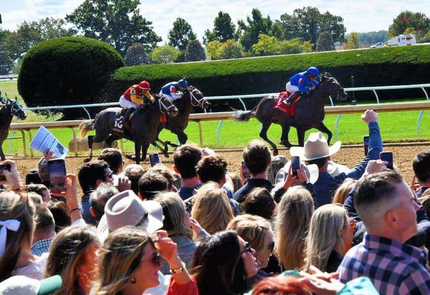 Horses, Bourbon, and More in Central Kentucky 5 Keeneland Lexington KY