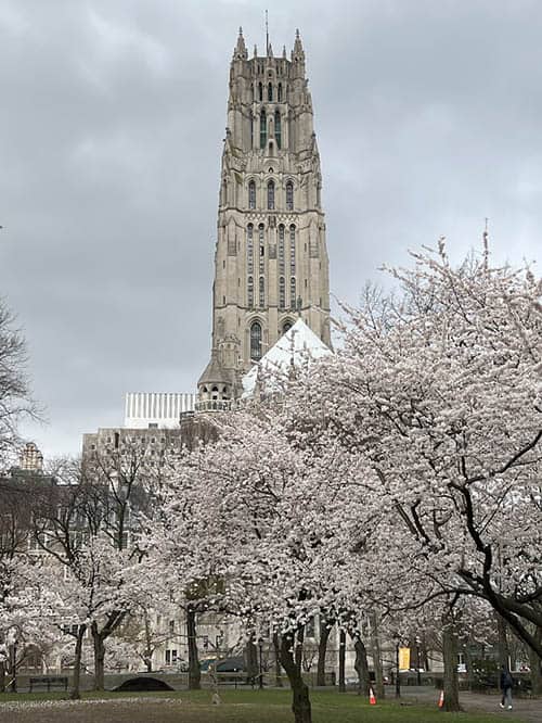 Four of the Best Parks in Upper Manhattan 2 A springtime view of Sakura Park with Riverside Church in the background. Photo by Susmita Sengupta