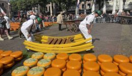 Alkmaar-Cheesehandlers