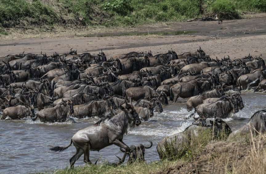 Tanzania