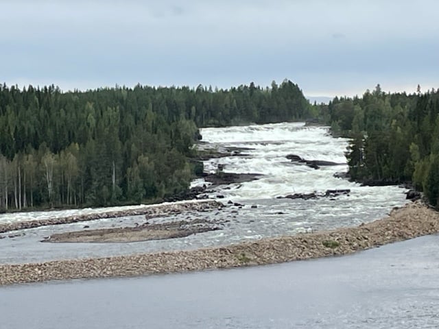 Northern Sweden: Family, Ferries, Forsen 8 The Storforsen: view from our room