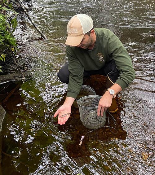 Surveying fish populations using traps on a creek in the Tongass National Forest, AK.