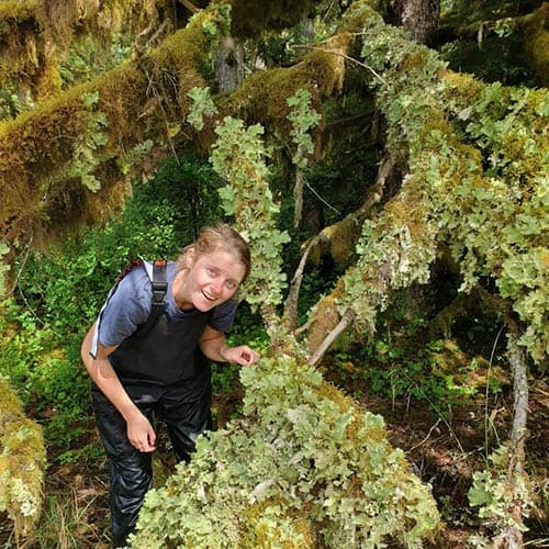 Lush lichen growth on a tree in the Tongass National Forest, AK.