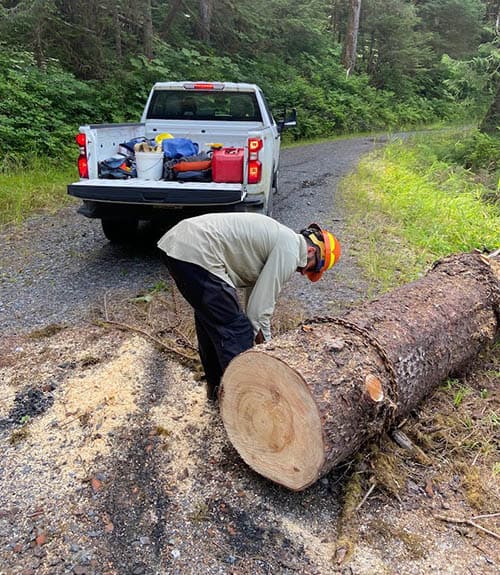 Cutting & dragging a log out of the road on Zarembo Island, Tongass National Forest, AK.