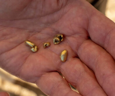 People are still finding gold at Sutter's Mill. The largest nugget was discovered on Mother's Day a few years ago.