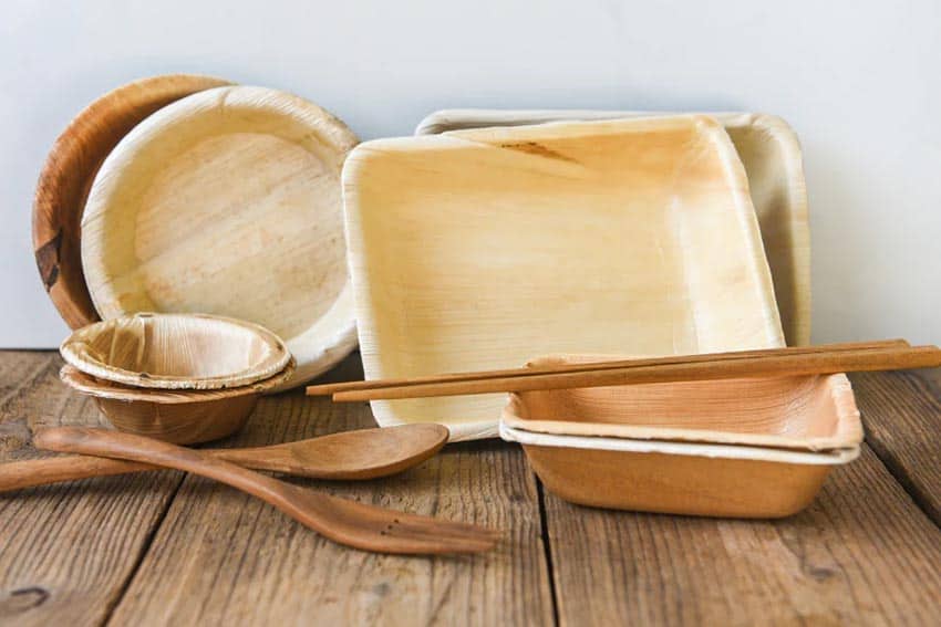 Palm Leaf Tableware