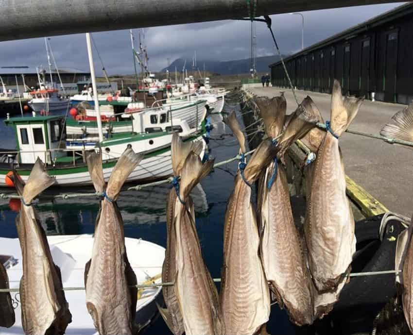 faroe islands, dining