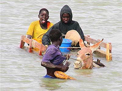 A donkey cart in the Niger River