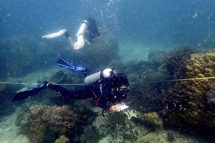 Underwater practice for Reef Check Eco Dive qualification