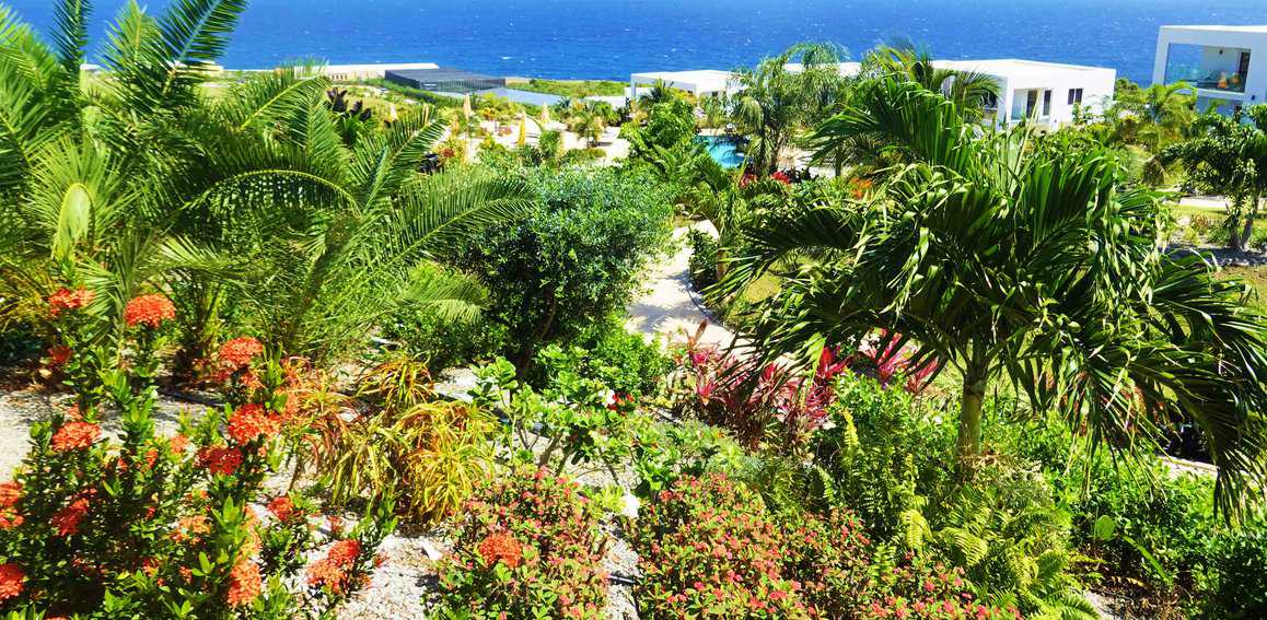 Golden Rock Resort St Eustatius gardens