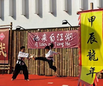 CNY Martial Arts in George Town