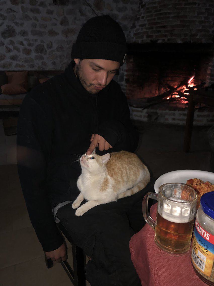 Albania Road Trip All Alone 4 Fellow hostel-pal making friends with a cat