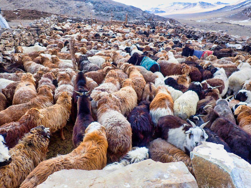 Mongolia