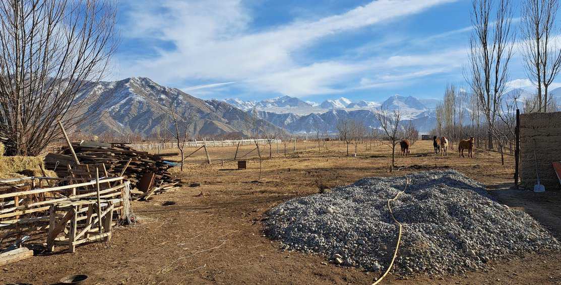 Kyrgyzstan: Where Hospitality Meets Untamed Beauty 7 The animal farm behind Gulmira homestay