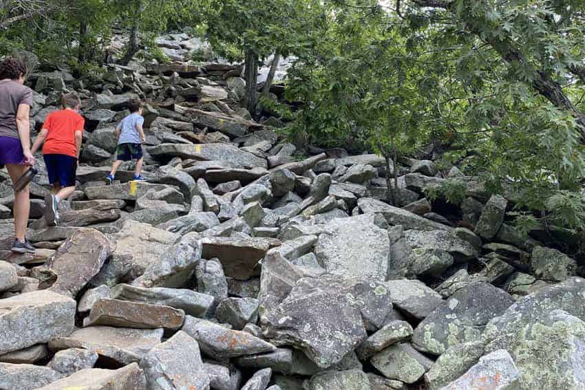 Little Rock Arkansas: What's The Danger? 6 The treacherous trail to the top of Pinnacle Mountain.
