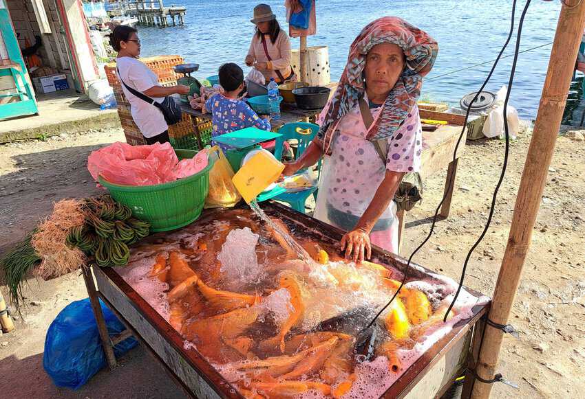 Lake Toba Indonesia: The World's Largest Crater Lake 4 A woman sells her catch at Tomok market