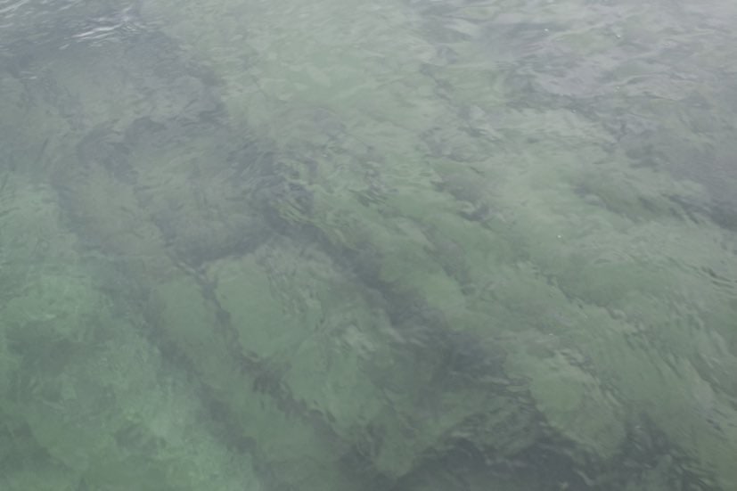 One of the shipwrecks that rests in The Boneyard, accessible by boat, snorkel, or scuba dive.