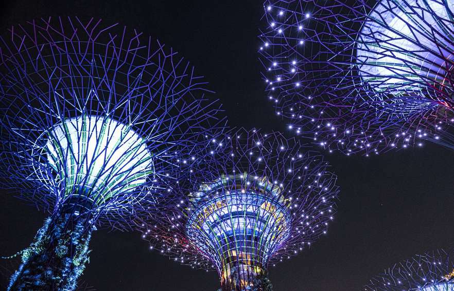 Garden Rhapsody, a mesmerizing light and music production at Gardens by the Bay, takes place daily at 7:45 pm and 8:45 pm. Photo by Donnie Sexton