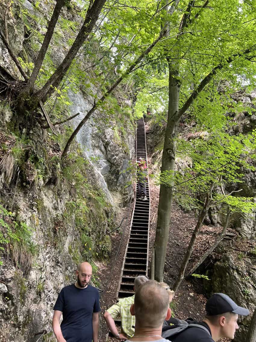 Slovenia: Forests, Vineyards, and Medieval Villages 4 Descending Steep Stairs from Osojnica Hill. Sharon Kurtz Photo