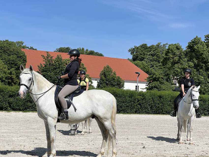 Slovenia: Forests, Vineyards, and Medieval Villages 8 Riding Lesson at Lipica Stud Farm. Sharon Kurtz photo