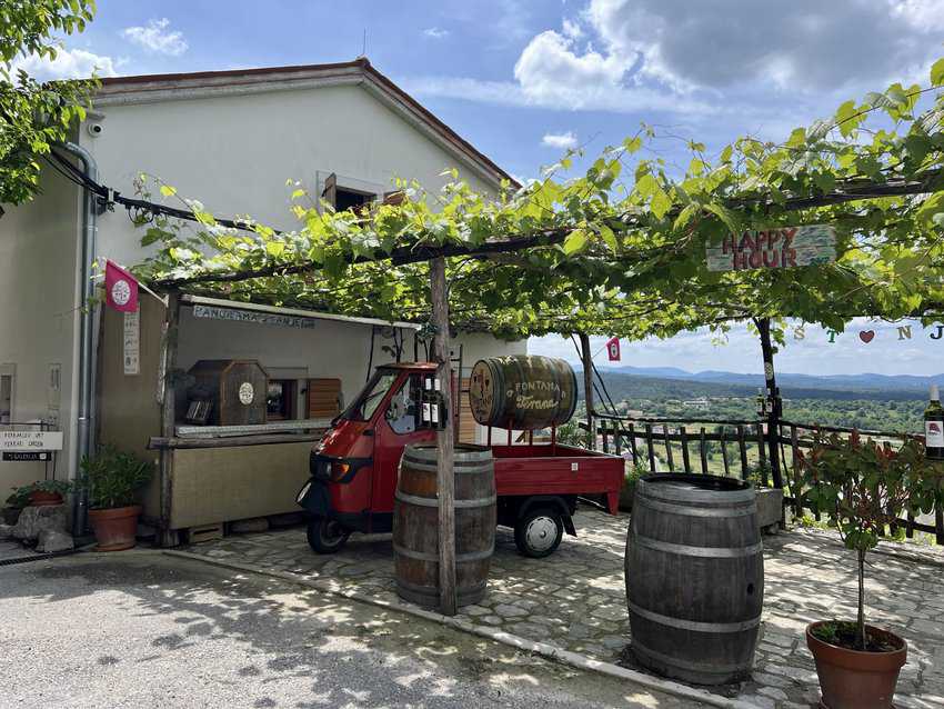 Slovenia: Forests, Vineyards, and Medieval Villages 10 Stanjel Wine Terrace. Sharon Kurtz photo