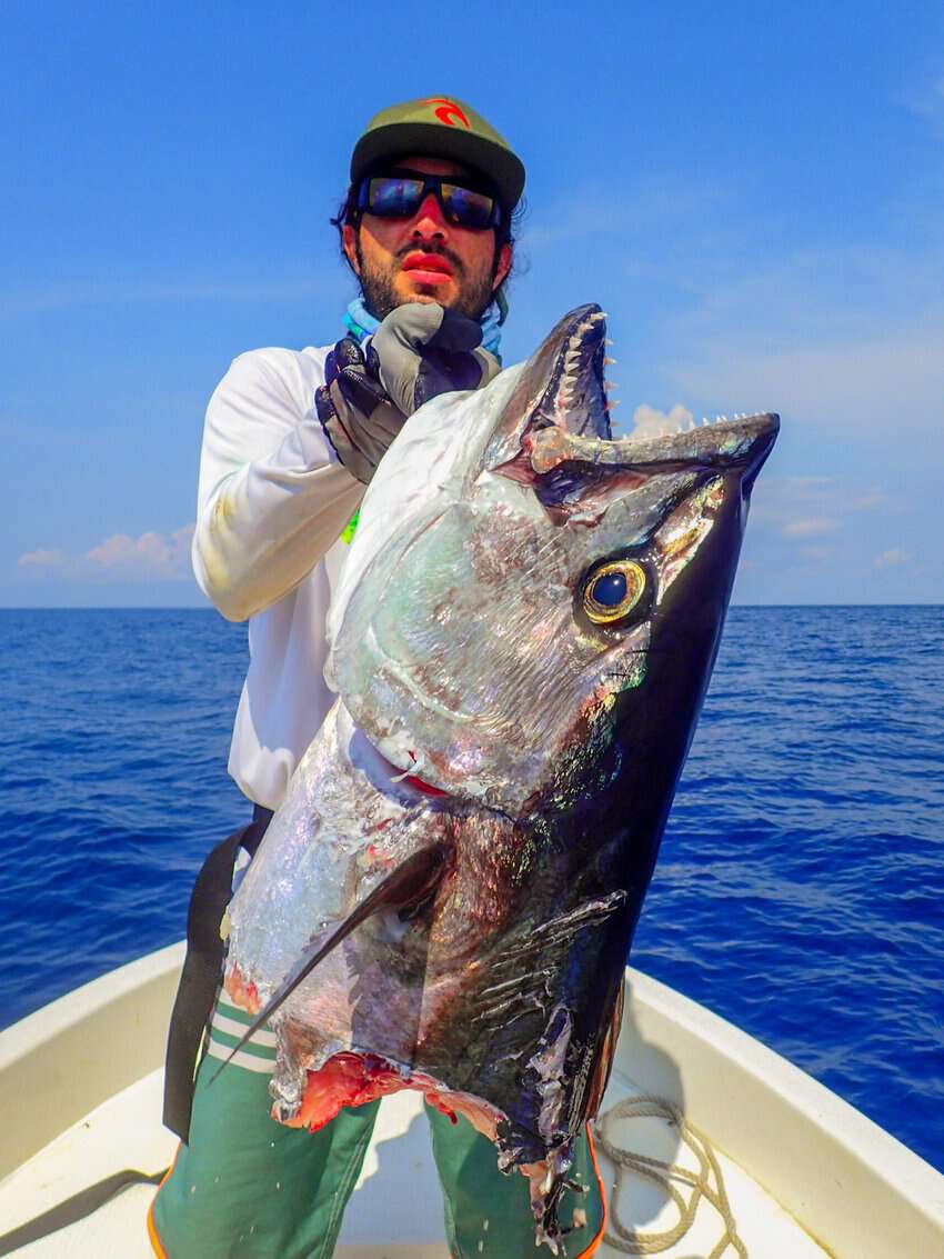 Chasing Giants: Sport Fishing in Papua New Guinea 6 A Dogtooth tuna with its head bitten off by a shark